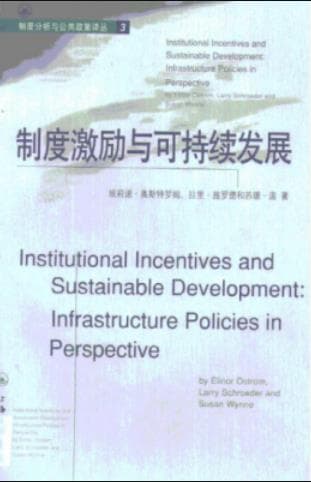 《制度激励与可持续发展 基础设施政策透视》pdf电子书下载 pdf分享 第1张
