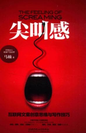 《尖叫感 互联网文案创意思维与写作技巧》pdf电子书下载
