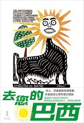《去您的巴西》pdf电子书下载 pdf分享 第1张
