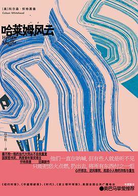 《哈莱姆风云》pdf电子书下载