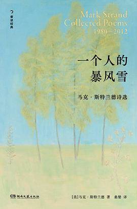 《一个人的暴风雪》pdf电子书下载 pdf分享 第1张