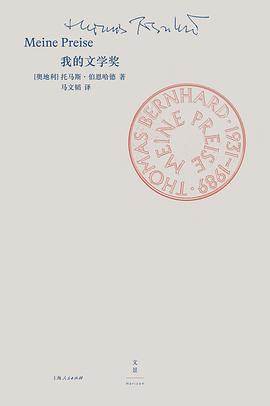 《我的文学奖》pdf电子书下载