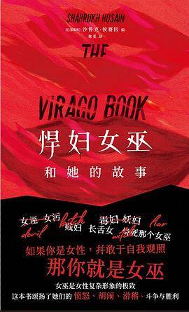 《悍妇女巫和她的故事》pdf电子书下载 pdf分享 第1张