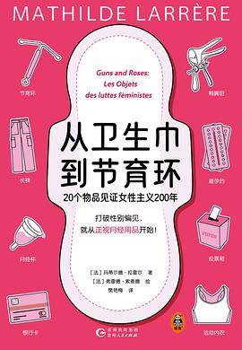 《从卫生巾到节育环》pdf电子书下载 pdf分享 第1张