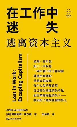 《在工作中迷失》pdf电子书下载 pdf分享 第1张