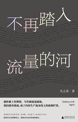 《不再踏入流量的河》pdf电子书下载 pdf分享 第1张