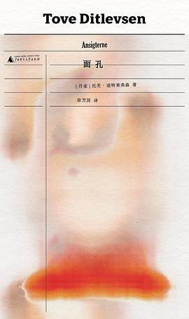 《面孔》pdf电子书下载 pdf分享 第1张