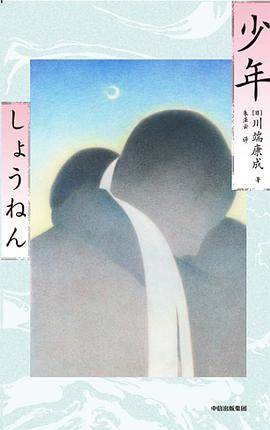 《少年》pdf电子书下载 pdf分享 第1张