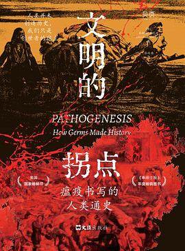 《文明的拐点》pdf电子书下载 pdf分享 第1张