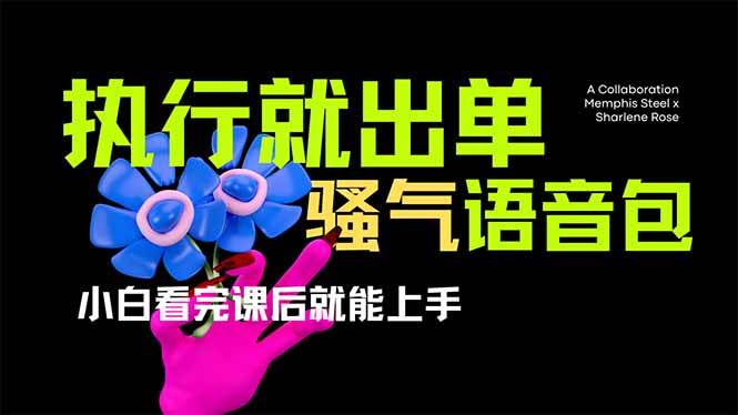 （14170期）爆火全网的开车导航骚气语音包,只要执行就出单，小白看完课程就能实操... 中创网 第1张