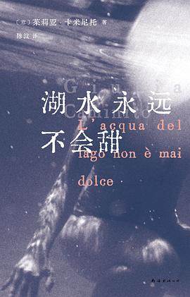 《湖水永远不会甜》pdf电子书下载