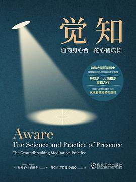 《觉知》pdf电子书下载