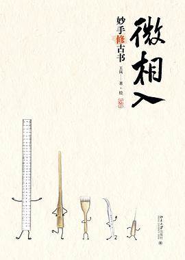 《微相入》pdf电子书下载