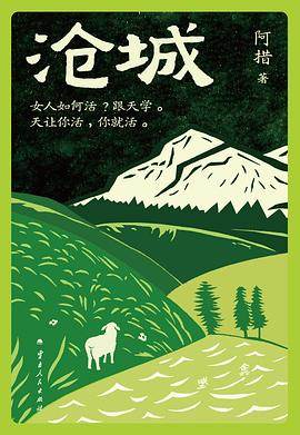 《沧城》pdf电子书下载
