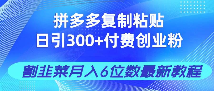 （14232期）拼多多复制粘贴日引300+付费创业粉，割韭菜月入6位数最新教程！ 中创网 第1张