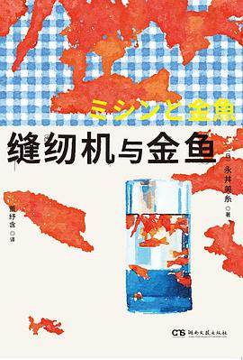 《缝纫机与金鱼》pdf电子书下载