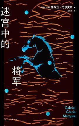 《迷宫中的将军》pdf电子书下载